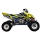KIT Funda + Calcos LTR 450 - DMP