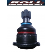 Rotula Inferior Roll Desing 