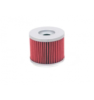 Filtro Aceite K&N para BMW G650 
