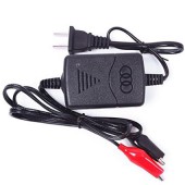 Cargador Mantenedor Bateria 12V